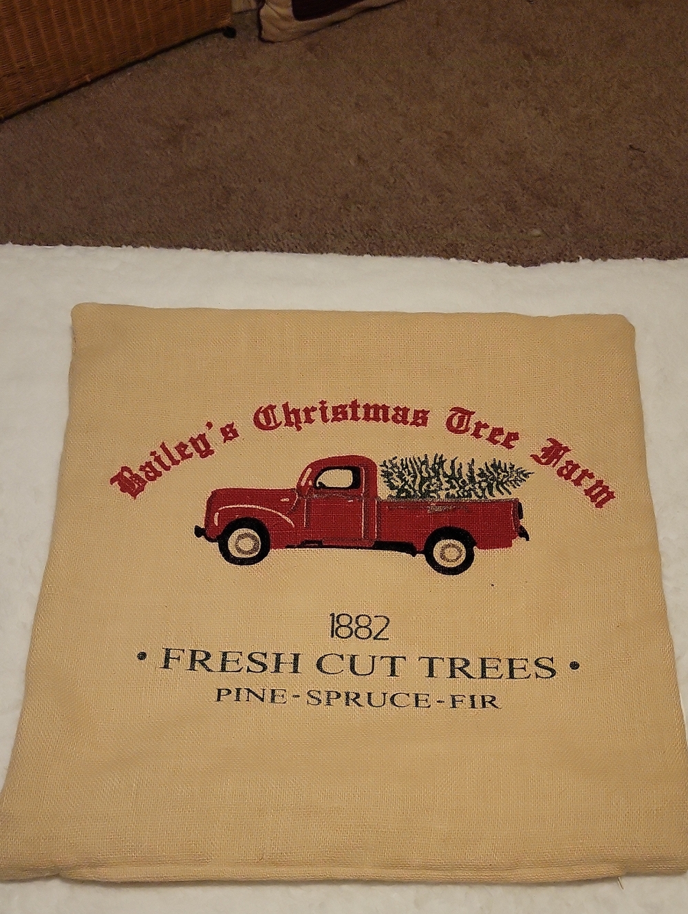 Bailey's Christmas Tree Farm Red Truck Decorative Pillow Cover 20  x 20 Inches